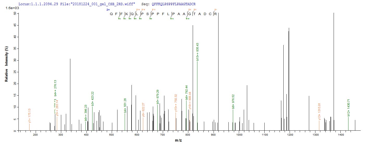 Based on the SEQUEST from database of E.coli host and target protein, the LC-MS/MS Analysis result of RPC26231 could indicate that this peptide derived from E.coli-expressed Homo sapiens (Human) CEBPD.