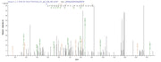 Based on the SEQUEST from database of E.coli host and target protein, the LC-MS/MS Analysis result of RPC26231 could indicate that this peptide derived from E.coli-expressed Homo sapiens (Human) CEBPD.