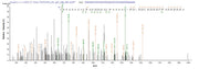 Based on the SEQUEST from database of E.coli host and target protein, the LC-MS/MS Analysis result of RPC26233 could indicate that this peptide derived from E.coli-expressed Mus musculus (Mouse) Eln.