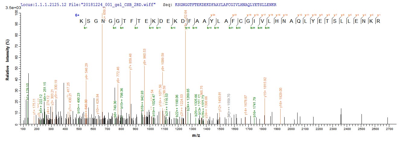 Based on the SEQUEST from database of E.coli host and target protein, the LC-MS/MS Analysis result of RPC26238 could indicate that this peptide derived from E.coli-expressed Mus musculus (Mouse) Pde5a.