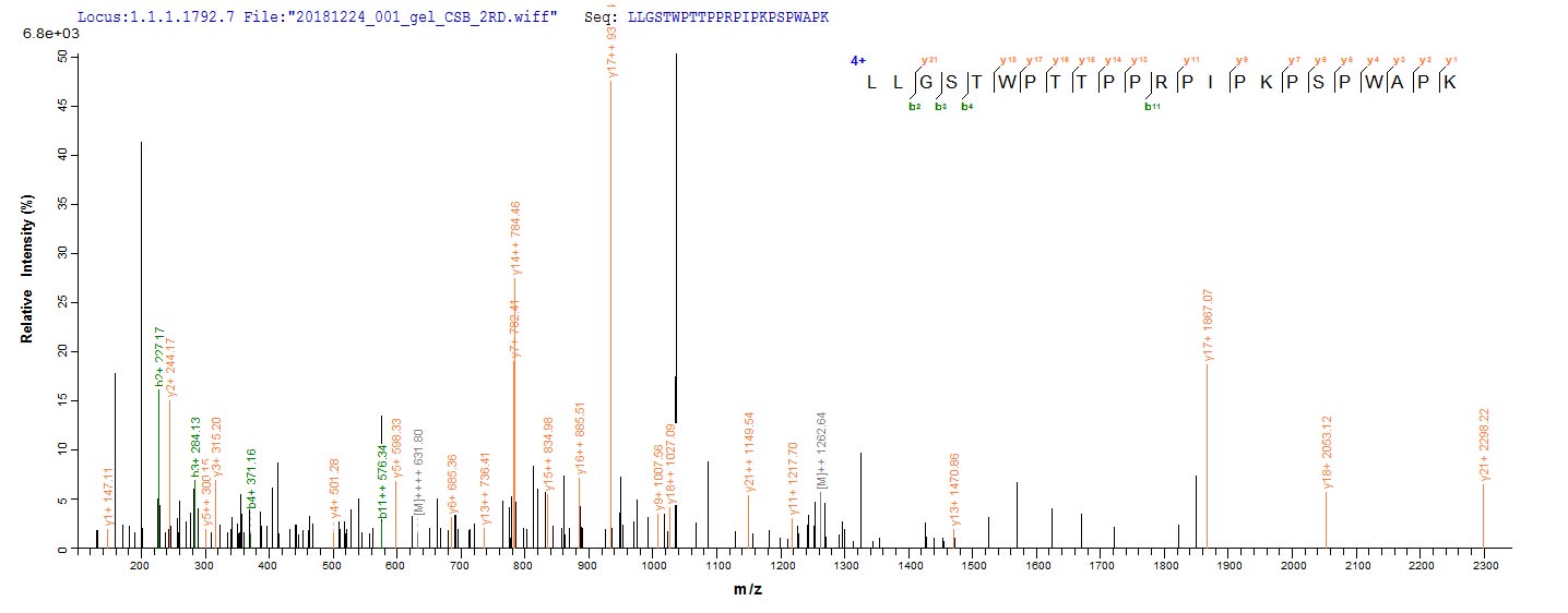 Based on the SEQUEST from database of E.coli host and target protein, the LC-MS/MS Analysis result of RPC26239 could indicate that this peptide derived from E.coli-expressed Human papillomavirus type 16 E4.