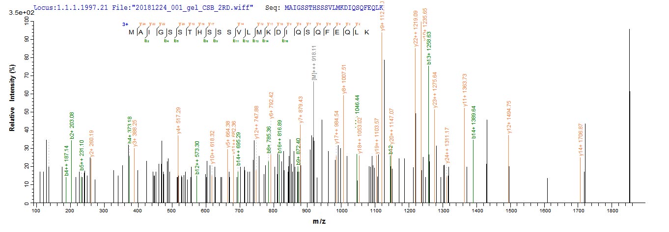 Based on the SEQUEST from database of E.coli host and target protein, the LC-MS/MS Analysis result of RPC26241 could indicate that this peptide derived from E.coli-expressed Influenza B virus (strain B/Yamagata/1/1973) NS.
