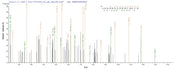 Based on the SEQUEST from database of E.coli host and target protein, the LC-MS/MS Analysis result of RPC26245 could indicate that this peptide derived from E.coli-expressed Protobothrops flavoviridis (Habu) (Trimeresurus flavoviridis) TLF1.