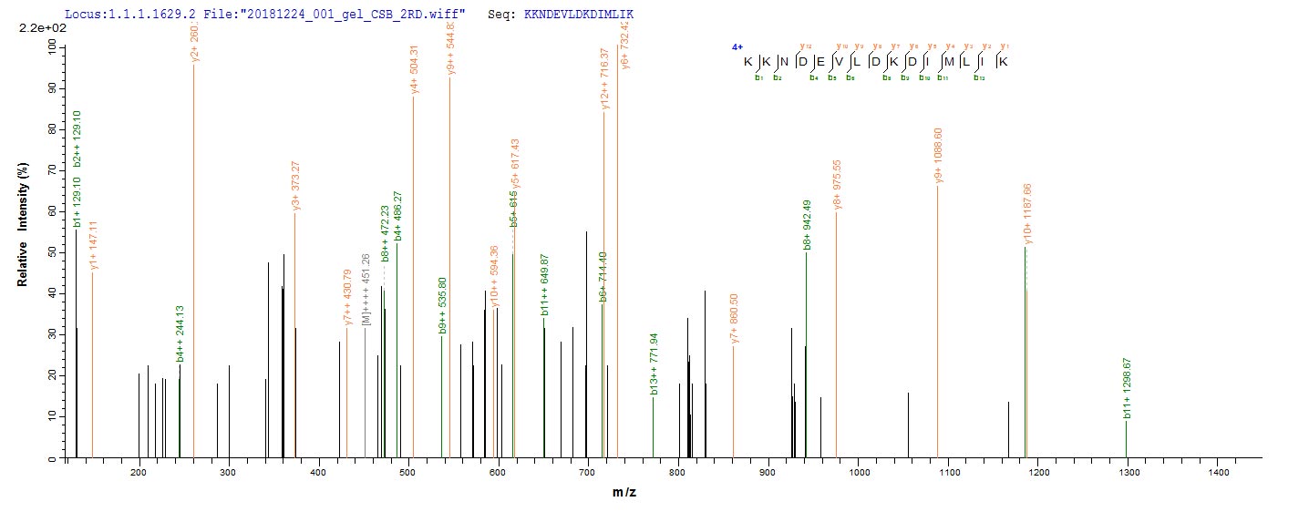 Based on the SEQUEST from database of E.coli host and target protein, the LC-MS/MS Analysis result of RPC26245 could indicate that this peptide derived from E.coli-expressed Protobothrops flavoviridis (Habu) (Trimeresurus flavoviridis) TLF1.