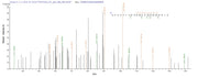 Based on the SEQUEST from database of E.coli host and target protein, the LC-MS/MS Analysis result of RPC26264 could indicate that this peptide derived from E.coli-expressed Homo sapiens (Human) PML.