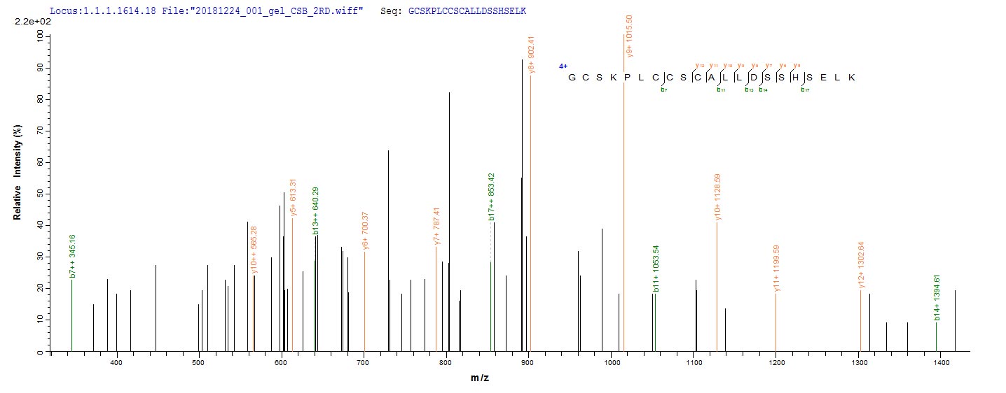 Based on the SEQUEST from database of E.coli host and target protein, the LC-MS/MS Analysis result of RPC26264 could indicate that this peptide derived from E.coli-expressed Homo sapiens (Human) PML.