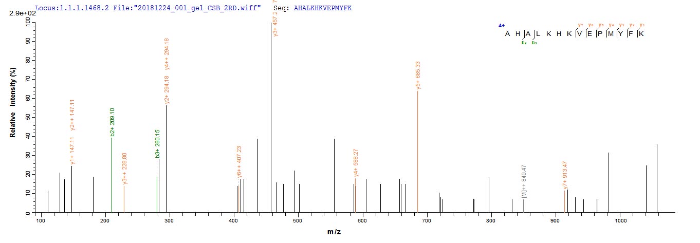 Based on the SEQUEST from database of E.coli host and target protein, the LC-MS/MS Analysis result of RPC26265 could indicate that this peptide derived from E.coli-expressed Rattus norvegicus (Rat) Cygb.