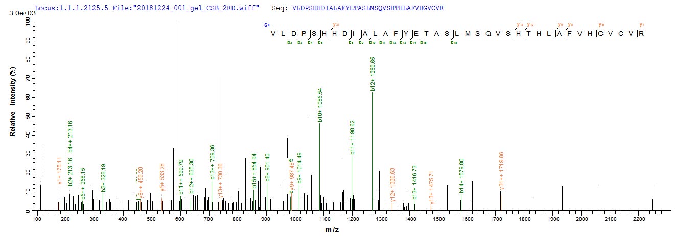 Based on the SEQUEST from database of E.coli host and target protein, the LC-MS/MS Analysis result of RPC26266 could indicate that this peptide derived from E.coli-expressed Homo sapiens (Human) TYK2.