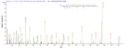 Based on the SEQUEST from database of E.coli host and target protein, the LC-MS/MS Analysis result of RPC26271 could indicate that this peptide derived from E.coli-expressed Arabidopsis thaliana (Mouse-ear cress) XERO2.