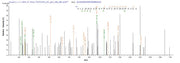 Based on the SEQUEST from database of E.coli host and target protein, the LC-MS/MS Analysis result of RPC26273 could indicate that this peptide derived from E.coli-expressed Mus musculus (Mouse) Cst7.
