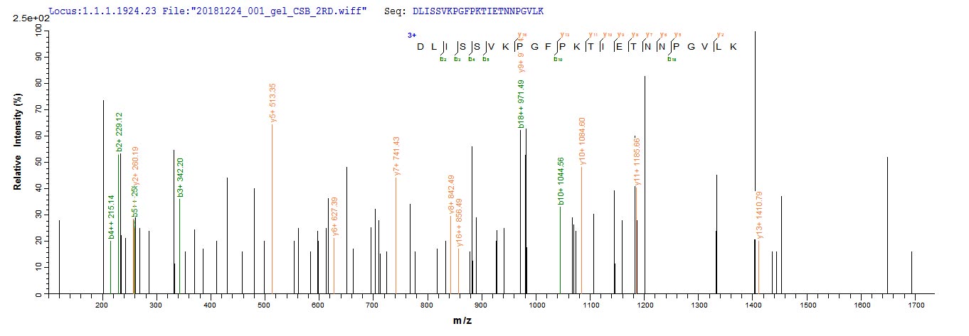 Based on the SEQUEST from database of E.coli host and target protein, the LC-MS/MS Analysis result of RPC26273 could indicate that this peptide derived from E.coli-expressed Mus musculus (Mouse) Cst7.