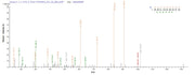 Based on the SEQUEST from database of E.coli host and target protein, the LC-MS/MS Analysis result of RPC26274 could indicate that this peptide derived from E.coli-expressed Mus musculus (Mouse) Ripk1.