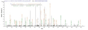 Based on the SEQUEST from database of Baculovirus host and target protein, the LC-MS/MS Analysis result of RPC26343 could indicate that this peptide derived from Baculovirus-expressed Streptococcus pyogenes serotype M28 (strain MGAS6180) acpS.