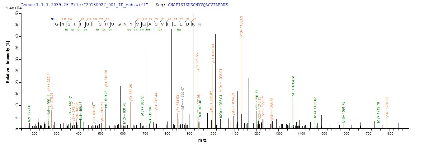 Based on the SEQUEST from database of Baculovirus host and target protein, the LC-MS/MS Analysis result of RPC26343 could indicate that this peptide derived from Baculovirus-expressed