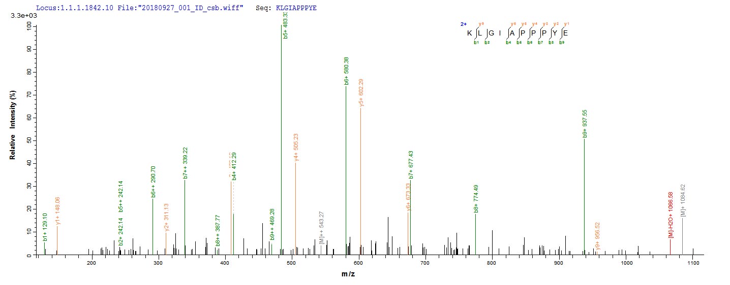 Based on the SEQUEST from database of Baculovirus host and target protein, the LC-MS/MS Analysis result of RPC26344 could indicate that this peptide derived from Baculovirus-expressed Human adenovirus C serotype 5 (HAdV-5) (Human adenovirus 5) DBP.