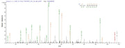 Based on the SEQUEST from database of Baculovirus host and target protein, the LC-MS/MS Analysis result of RPC26344 could indicate that this peptide derived from Baculovirus-expressed Human adenovirus C serotype 5 (HAdV-5) (Human adenovirus 5) DBP.