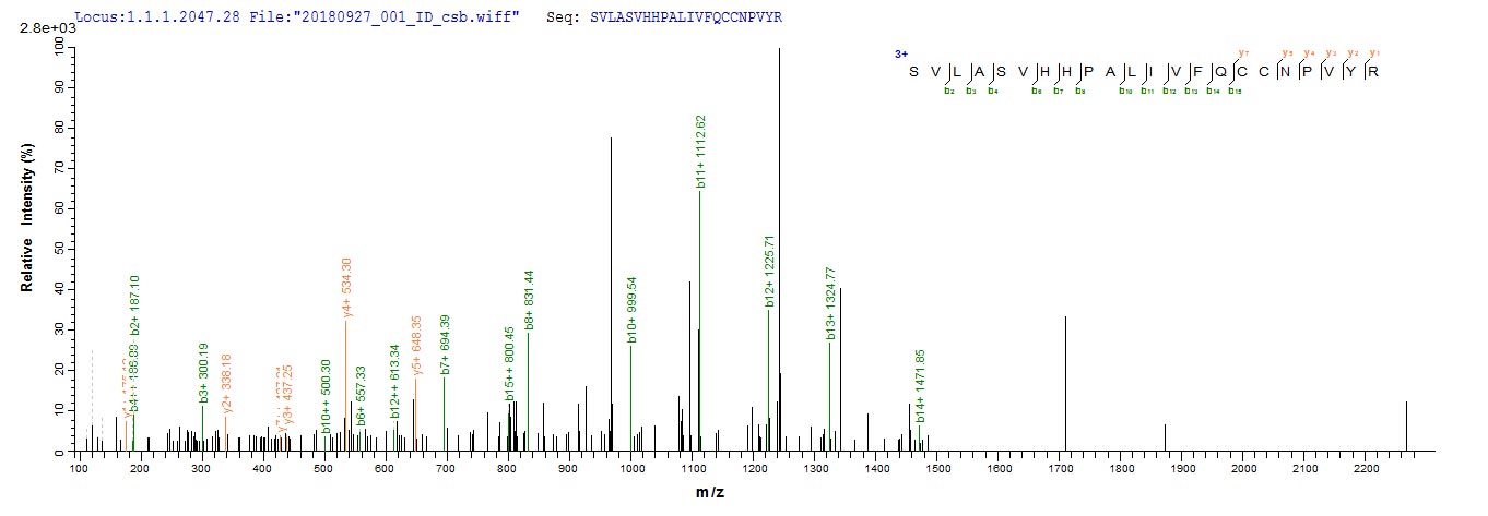 Based on the SEQUEST from database of Baculovirus host and target protein, the LC-MS/MS Analysis result of RPC26387 could indicate that this peptide derived from Baculovirus-expressed Human adenovirus C serotype 5 (HAdV-5) (Human adenovirus 5) DBP.