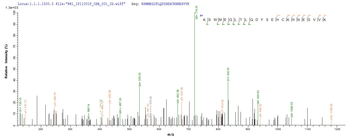 Based on the SEQUEST from database of Baculovirus host and target protein, the LC-MS/MS Analysis result of RPC26400 could indicate that this peptide derived from Baculovirus-expressed Homo sapiens (Human) PSMD14.
