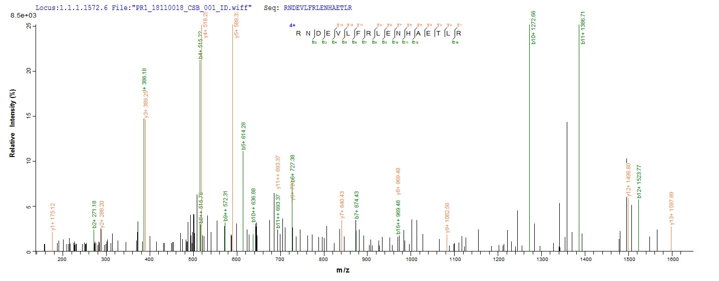 Based on the SEQUEST from database of Baculovirus host and target protein, the LC-MS/MS Analysis result of RPC26404 could indicate that this peptide derived from Baculovirus-expressed Vaccinia virus (strain Copenhagen) (VACV) A27L.