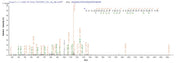 Based on the SEQUEST from database of E.coli host and target protein, the LC-MS/MS Analysis result of RPC26461 could indicate that this peptide derived from E.coli-expressed Recombinant Human ER membrane protein complex subunit 4(EMC4) EMC4.