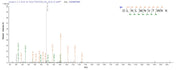 Based on the SEQUEST from database of E.coli host and target protein, the LC-MS/MS Analysis result of RPC26462 could indicate that this peptide derived from E.coli-expressed Mus musculus (Mouse) Emb.