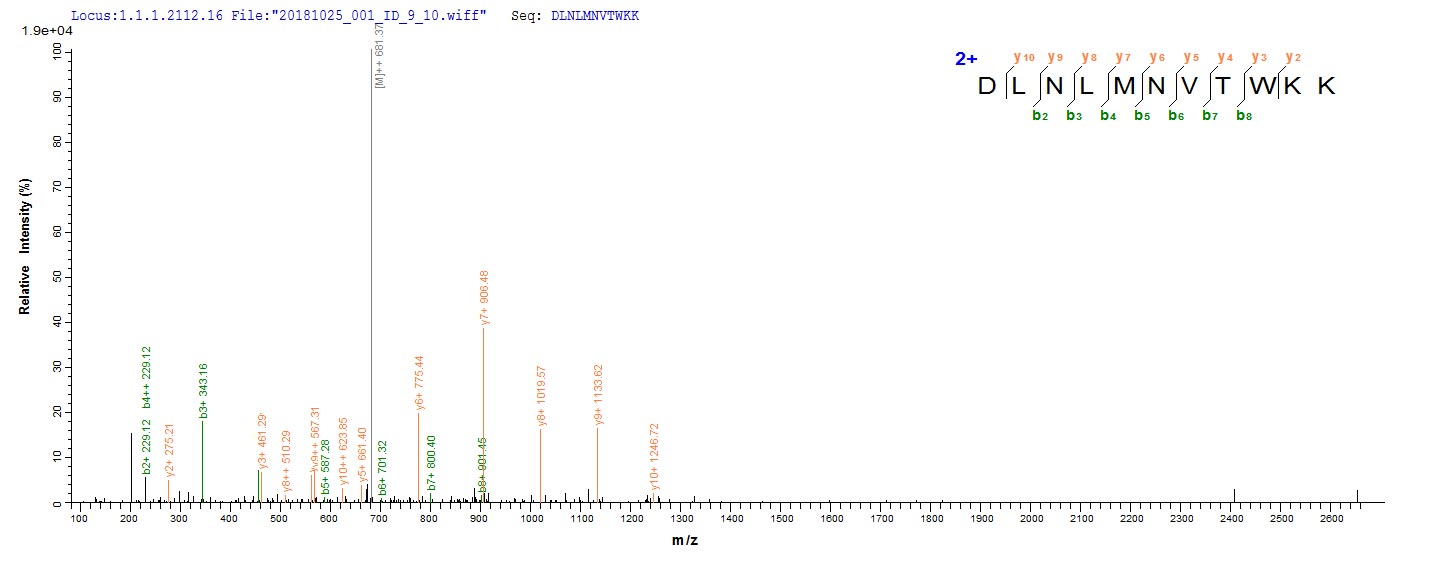 Based on the SEQUEST from database of E.coli host and target protein, the LC-MS/MS Analysis result of RPC26462 could indicate that this peptide derived from E.coli-expressed Mus musculus (Mouse) Emb.
