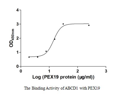 Measured by its binding ability in a functional ELISA. Immobilized ABCD1 at 5 μg/ml can bind human PEX19,the EC50 of human PEX19 protein is 22.96-33.00 μg/ml.