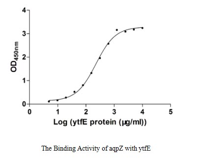 Measured by its binding ability in a functional ELISA. Immobilized aqpZ at 5 μg/ml can bind E.coli ytfE, the EC50 of E.coli ytfE protein is 197.90-259.70 μg/ml.