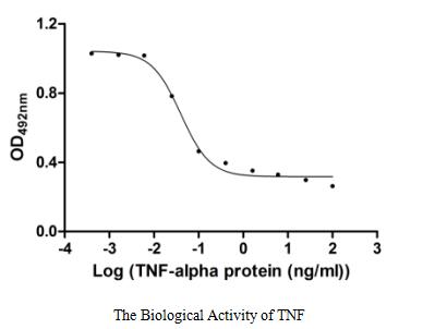 Measured in a cytotoxicity assay using L‑929 mouse fibroblast cells in the presence of the metabolic inhibitor actinomycin D. The ED50 for this effect is 33.32-47.38 pg/mL.