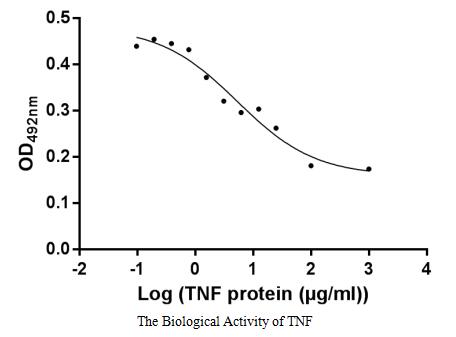 Measured in a cytotoxicity assay using L-929 mouse fibroblast cells in the presence of the metabolic inhibitor actinomycin D. The ED50 for this effect is 3.065-9.323 ng/mL.