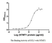Measured by its binding ability in a functional ELISA. Immobilized CCL5 at 2 μg/ml can bind human NTMT1, the EC50 of human NTMT1 protein is 3.029-5.404 μg/ml.
