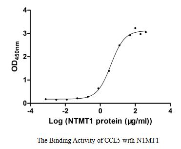 Measured by its binding ability in a functional ELISA. Immobilized CCL5 at 2 μg/ml can bind human NTMT1, the EC50 of human NTMT1 protein is 3.029-5.404 μg/ml.