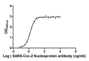 Measured by its binding ability in a functional ELISA. Immobilized SARS-CoV-2-N at 5 μg/ml can bind SARS-CoV-2-N Antibody, the EC50 of SARS-CoV-2-N protein is 43.50-118.4 ng/ml.