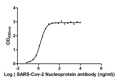 Measured by its binding ability in a functional ELISA. Immobilized SARS-CoV-2-N at 5 μg/ml can bind SARS-CoV-2-N Antibody, the EC50 of SARS-CoV-2-N protein is 43.50-118.4 ng/ml.