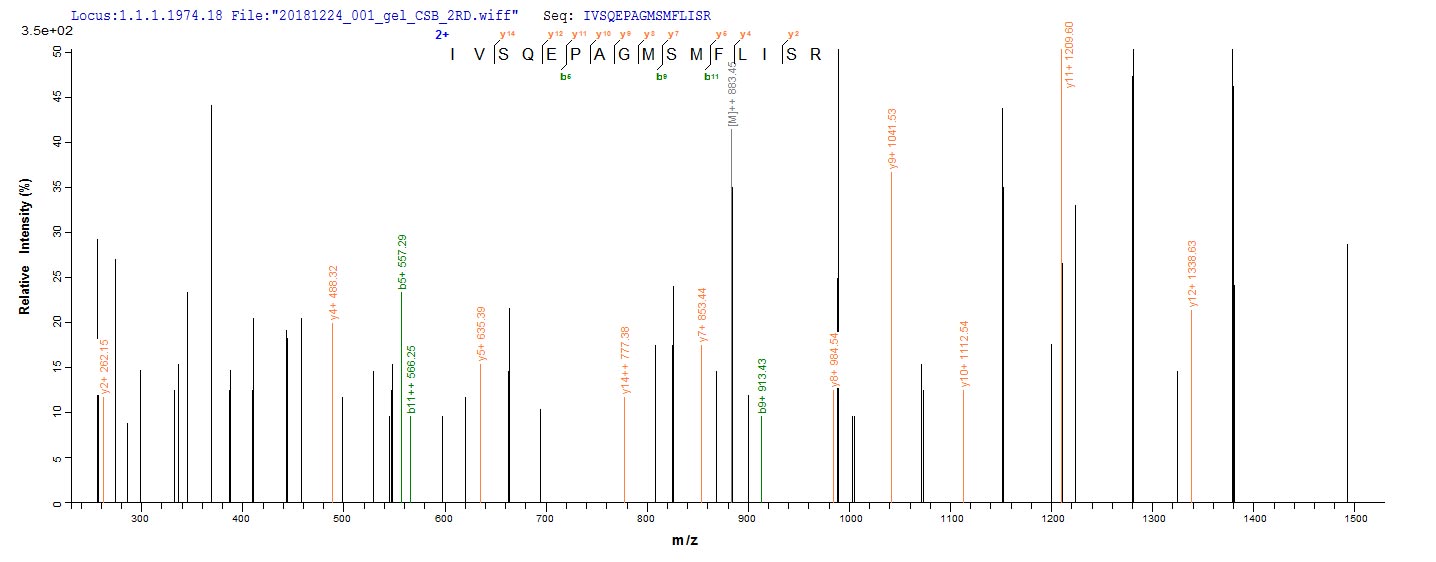 Based on the SEQUEST from database of Baculovirus host and target protein, the LC-MS/MS Analysis result of RPC27095 could indicate that this peptide derived from Baculovirus-expressed Mus musculus (Mouse) Dsg3.