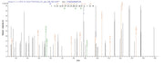 Based on the SEQUEST from database of Baculovirus host and target protein, the LC-MS/MS Analysis result of RPC27095 could indicate that this peptide derived from Baculovirus-expressed Mus musculus (Mouse) Dsg3.
