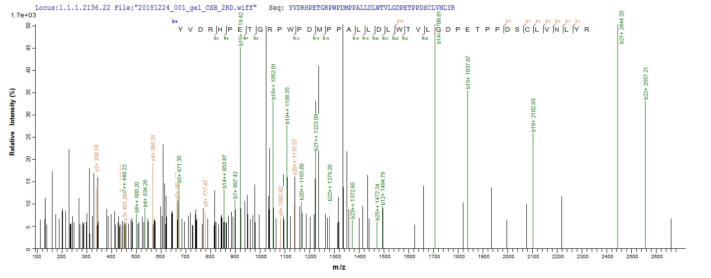 Based on the SEQUEST from database of E.coli host and target protein, the LC-MS/MS Analysis result of RPC27096 could indicate that this peptide derived from E.coli-expressed Caulobacter vibrioides (strain NA1000 / CB15N) (Caulobacter crescentus) alkB.