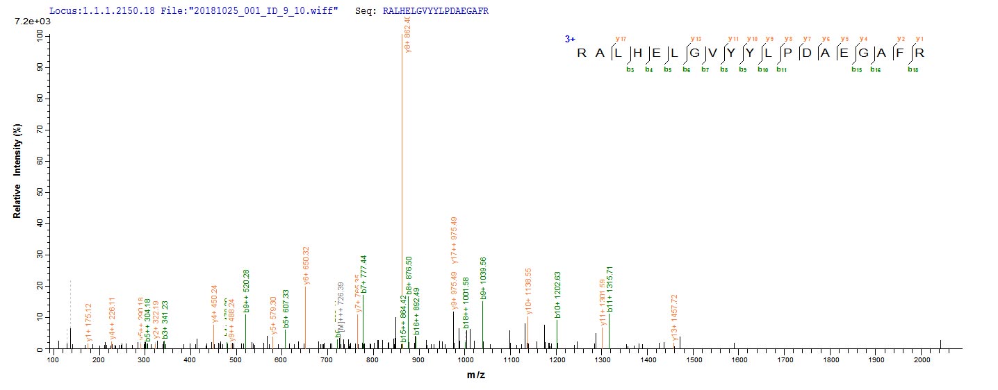 Based on the SEQUEST from database of E.coli host and target protein, the LC-MS/MS Analysis result of RPC27205 could indicate that this peptide derived from E.coli-expressed Homo sapiens (Human) ERFE.