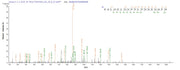 Based on the SEQUEST from database of E.coli host and target protein, the LC-MS/MS Analysis result of RPC27205 could indicate that this peptide derived from E.coli-expressed Homo sapiens (Human) ERFE.
