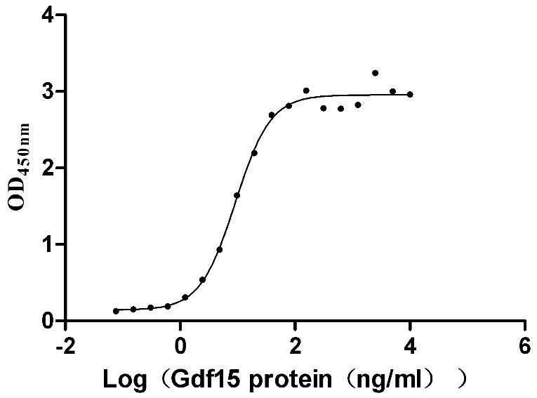 Measured by its binding ability in a functional ELISA. Immobilized Mouse Gfral at 5 μg/mL can bind Mouse Gdf15, the EC50 is 7.926-10.52 ng/mL.