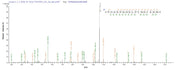 Based on the SEQUEST from database of E.coli host and target protein, the LC-MS/MS Analysis result of RPC27241 could indicate that this peptide derived from E.coli-expressed Recombinant Mouse Phospholipase D3(Pld3) Pld3.