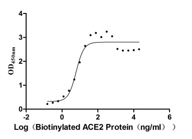 Measured by its binding ability in a functional ELISA. Immobilized SARS-CoV-2-S1-RBD at 2 μg/ml can bind Biotinylated human ACE2, the EC50 is 4.599-8.322 ng/ml.
