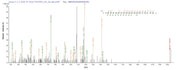 Based on the SEQUEST from database of Yeast host and target protein, the LC-MS/MS Analysis result of RPC27387 could indicate that this peptide derived from Yeast-expressed Vaccinia virus (strain Western Reserve) (VACV) (Vaccinia virus (strain WR)) PS/HR.