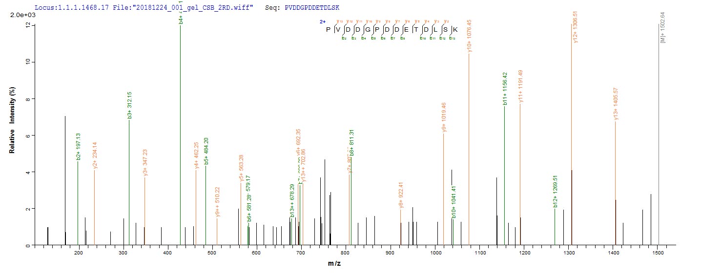 Based on the SEQUEST from database of Baculovirus host and target protein, the LC-MS/MS Analysis result of RPC27404 could indicate that this peptide derived from Baculovirus-expressed Vaccinia virus (strain Copenhagen) (VACV) PS/HR.