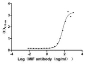 Measured by its binding ability in a functional ELISA. Immobilized MIF at 2 μg/ml can bind Anti- MIF Rabbit Monoclonal Antibody, the EC50 is 49.61-69.45 ng/ml.