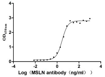 Measured by its binding ability in a functional ELISA. Immobilized MSLN at 2 μg/ml can bind Anti-MSLN rabbit monoclonal antibody, the EC50 of the MSLN protein is 2.657-3.177 ng/ml.