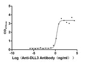 Measured by its binding ability in a functional ELISA. Immobilized DLL3 at 2 μg/mL can bind Anti-DLL3 Recombinant Antibody, the EC50 is 1.625-2.702 ng/mL.
