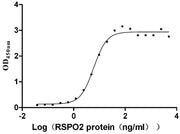 Measured by its binding ability in a functional ELISA. Immobilized Human ZNRF3 at 5 μg/mL can bind Human RSPO2, the EC50 is 5.091-6.991 ng/mL.