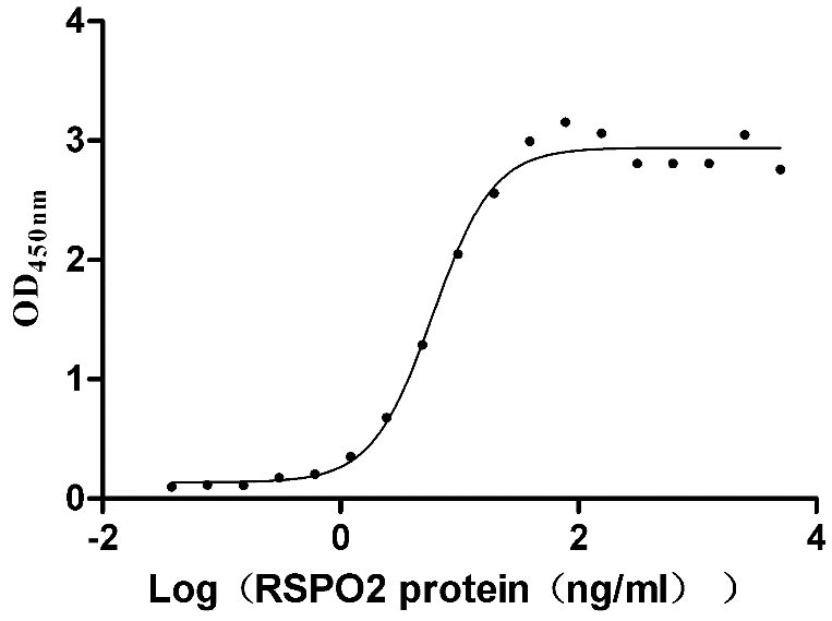 Measured by its binding ability in a functional ELISA. Immobilized Human ZNRF3 at 5 μg/mL can bind Human RSPO2, the EC50 is 5.091-6.991 ng/mL.