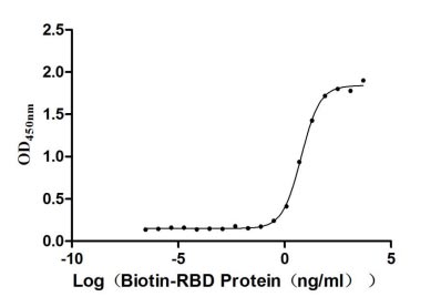 Measured by its binding ability in a functional ELISA. Immobilized human ACE2 at 2 μg/ml can bind Biotinylated-SARS-CoV-2-S1-RBD (RPC27935), the EC50 is 5.087-7.050 ng/ml.